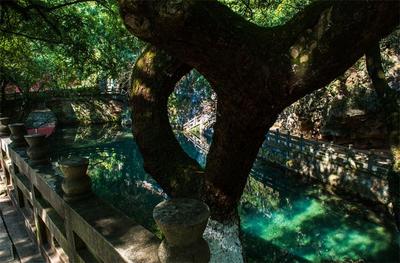 MUST GO！跟着中老铁路感受玉溪“滇中明珠”魅力