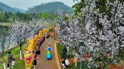 玉溪易门县2023年“二月二”民俗文化旅游节盛大开幕