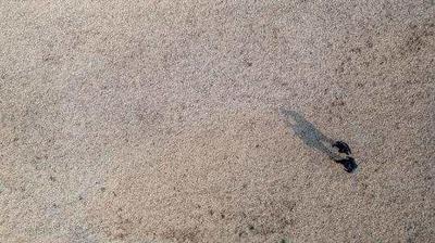 在这个“螺蛳壳遗址”里，还藏着这些小秘密！