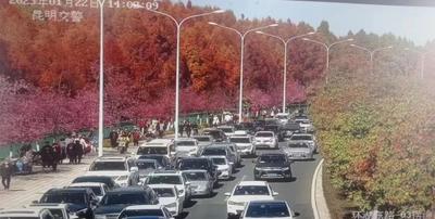 前往此地请注意！昆明交警紧急提醒！