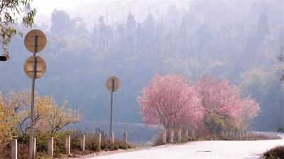 浪漫告白季，想与你在红河相遇