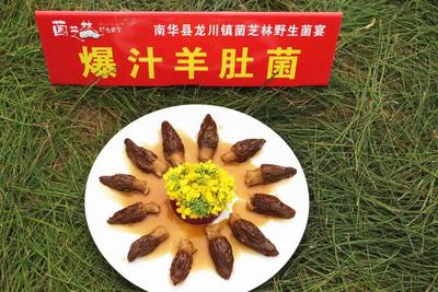 云南南华：花间烟火盛 菌鲜芳菲浓  