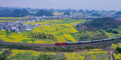 云南开行“赏花”专列 春之旅邀你来