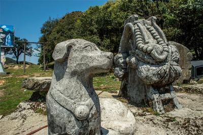 普洱镇沅：构建“一心一线五片区”  打造文旅发展新格局
