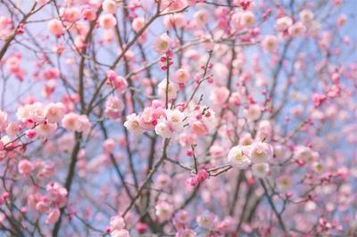 浪漫告白季，想与你在红河相遇