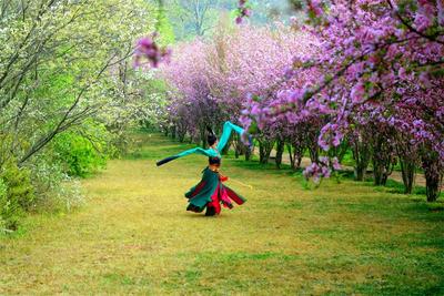 鲜花隧道 油菜花海 去昆明乃古石林拥抱春天