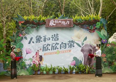 温馨时刻！野象谷举办萌象“小九”三周岁生日会