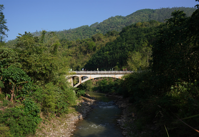 “绿美”添彩景迈山 打造令人向往的遗产地