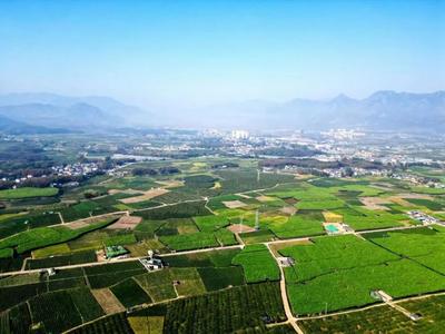 临沧市被评为《云南地区2023春节旅游市场分析报告》乡村旅游热门目的地