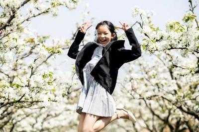 乐游玉溪丨玉溪春日赏花图鉴请收藏！