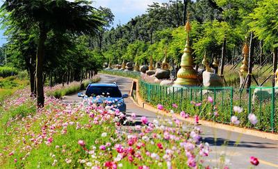 奋进的春天 | 德宏州：宣传营销多点发力 文旅市场强劲复苏