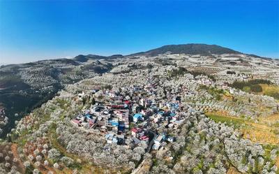 乐享云南 | 美景·个旧加级寨梨花谷