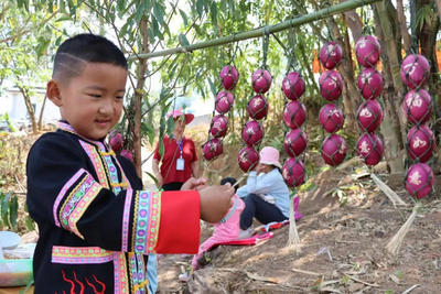 宁洱哈尼红蛋节掀起乡村旅游热