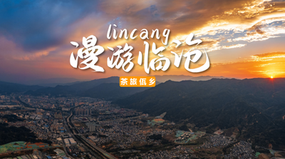  漫游临沧茶山，一起嗨个够！