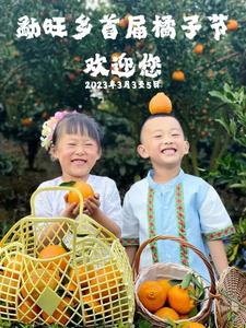 乐游西双版纳 | 周末摘果子、赶摆去！