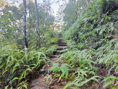 重走碧安茶马古道，追寻久违的马帮记忆！