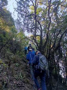 哀牢山普洱镇沅徒步登山者协会揭牌，助力打造“穿越哀牢”文旅品牌！