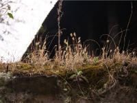 图集 | 在云端之上，邂逅“记忆之城”知子罗