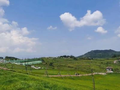 乐享云南丨美景·文山雾缦云山