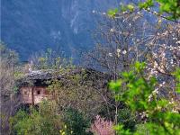 图集 | 雾里村：如诗如画的仙境之村