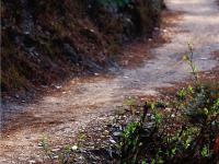 图集 | 雾里村：如诗如画的仙境之村