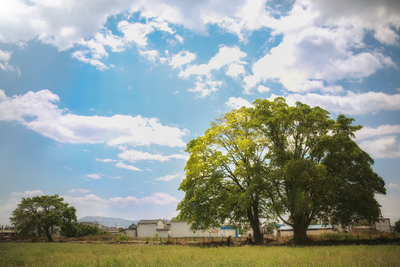 一部剧带火一座城 飞猪“有风”官方同款线路受追捧