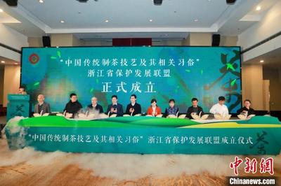 浙江成立保护发展联盟 以茶为媒打造“非遗茶生活”