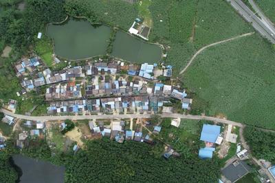西双版纳州2个村入选第十二批全国“一村一品”示范村镇及2022年全国乡村特色产业产值超亿元村名单