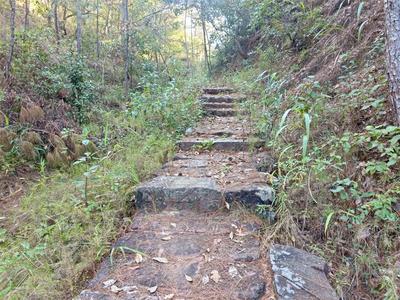 重走碧安茶马古道，追寻久违的马帮记忆！