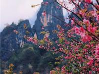 图集 | 在老姆登的清晨，邂逅一场春日盛宴