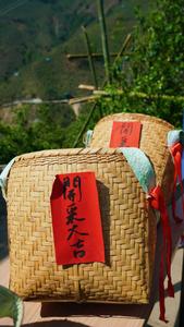 寻茶记：津乔“冰岛1485古茶园”开采！买茶不再“雾里看花”？还可溯源？