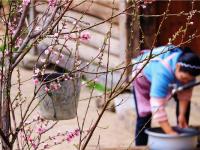 图集 | 雾里村：如诗如画的仙境之村