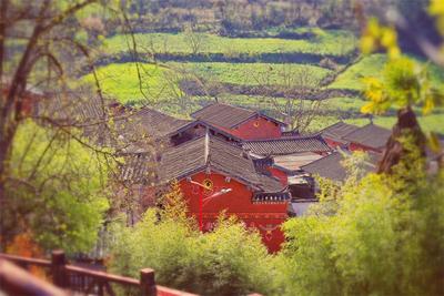 双柏打造农文旅融合典型 白竹山是青山更是金山
