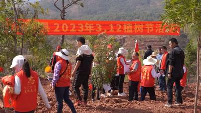 楚雄永仁丨我为永仁添新绿 不负青山不负春
