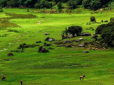 有一种叫云南的生活 | 美在德宏