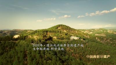 关注丨3月19日9：30，关注CCTV—4，探秘澄江化石地的“天书密语”！