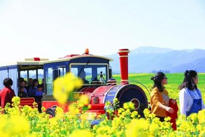 3月赏花正当时，携程口碑榜发布国内20大赏花胜地，云南罗平、南涧入榜！