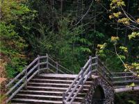 图集 | 雾里村：如诗如画的仙境之村