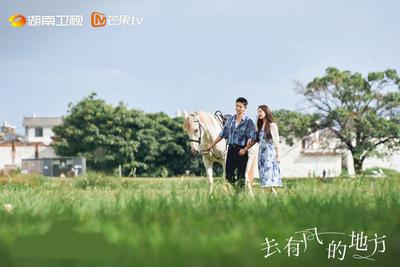 深圳卫视黄金时段正在热播《去有风的地方》
