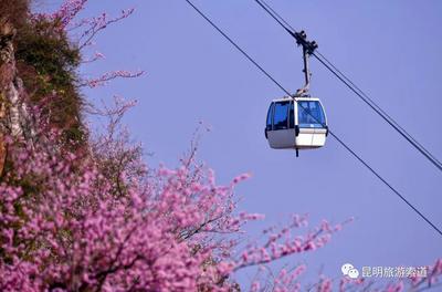 别跑空！26日起昆明旅游索道暂停运营