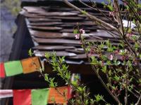 图集 | 雾里村：如诗如画的仙境之村