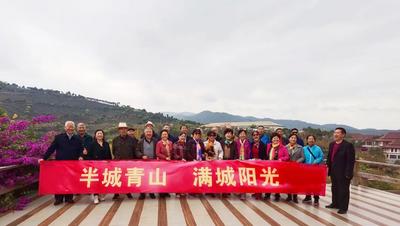 首批130位游客赴临感受温度临沧 · 四季茶香奇妙之旅