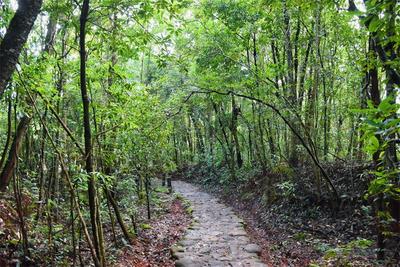 普洱茶马古道遗址：行过山川绝景，守得云开月明