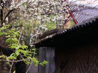 图集 | 在云端之上，邂逅“记忆之城”知子罗