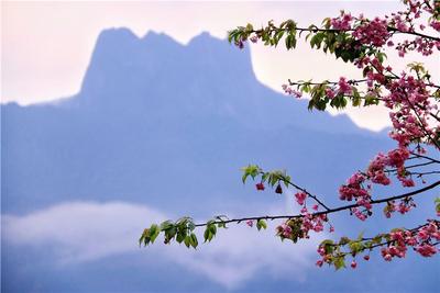 图集 | 在老姆登的清晨，邂逅一场春日盛宴