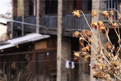 图集 | 在云端之上，邂逅“记忆之城”知子罗