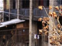 图集 | 在云端之上，邂逅“记忆之城”知子罗