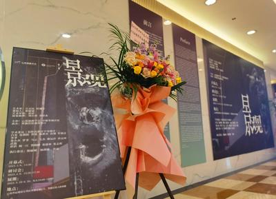  “景观——石志民、程馨平双个展”开幕