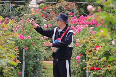 粉丝总数超1.2亿的10位快手达人齐聚玉溪 ，云播滇中明珠风采