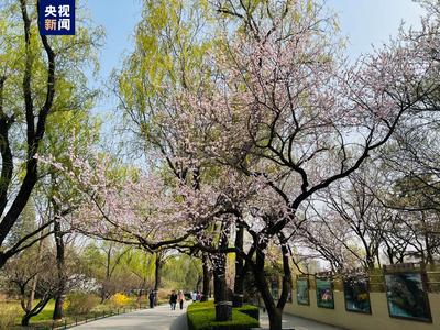 出游踏青 北京推出47项清明游园活动